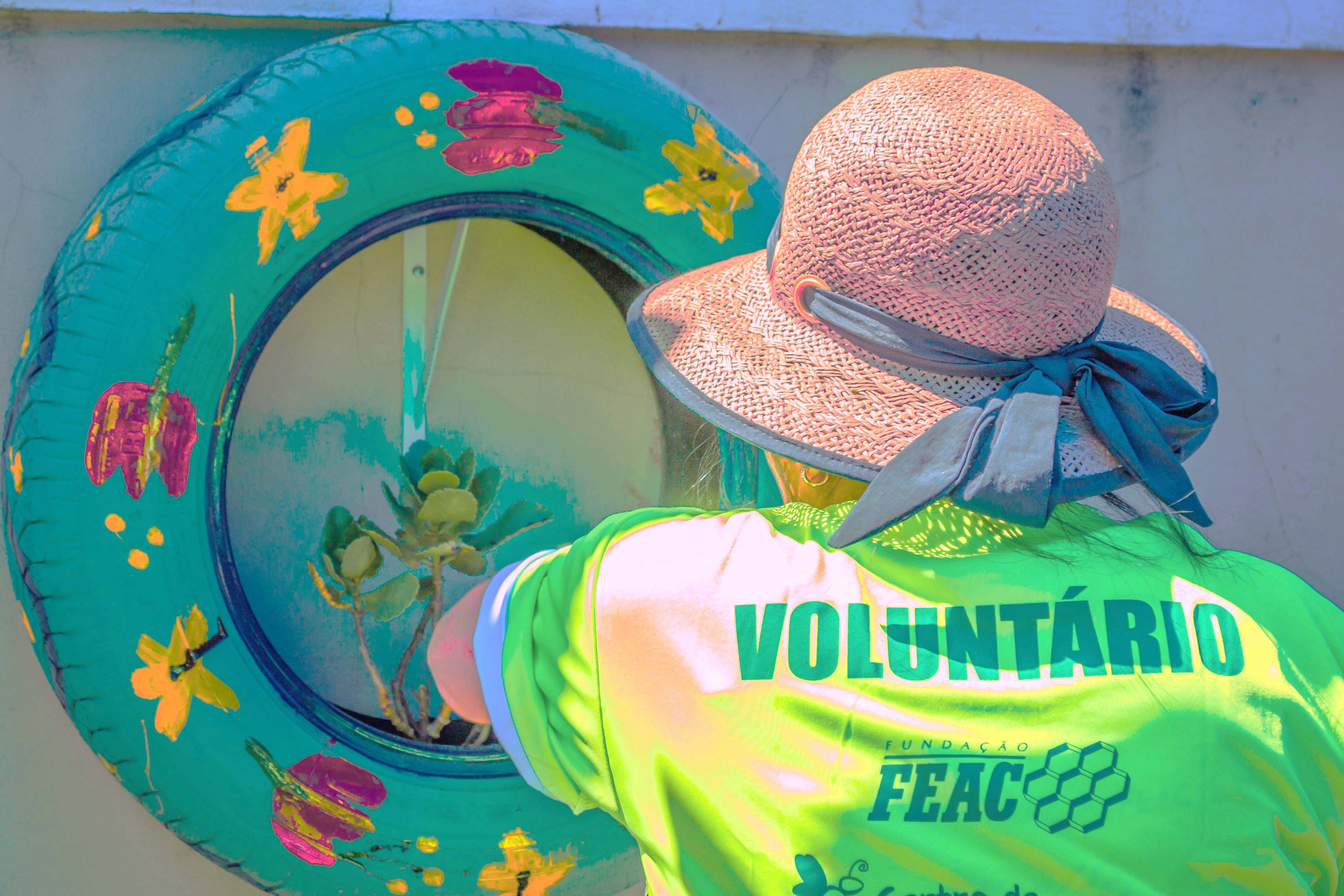 Voluntario 1
