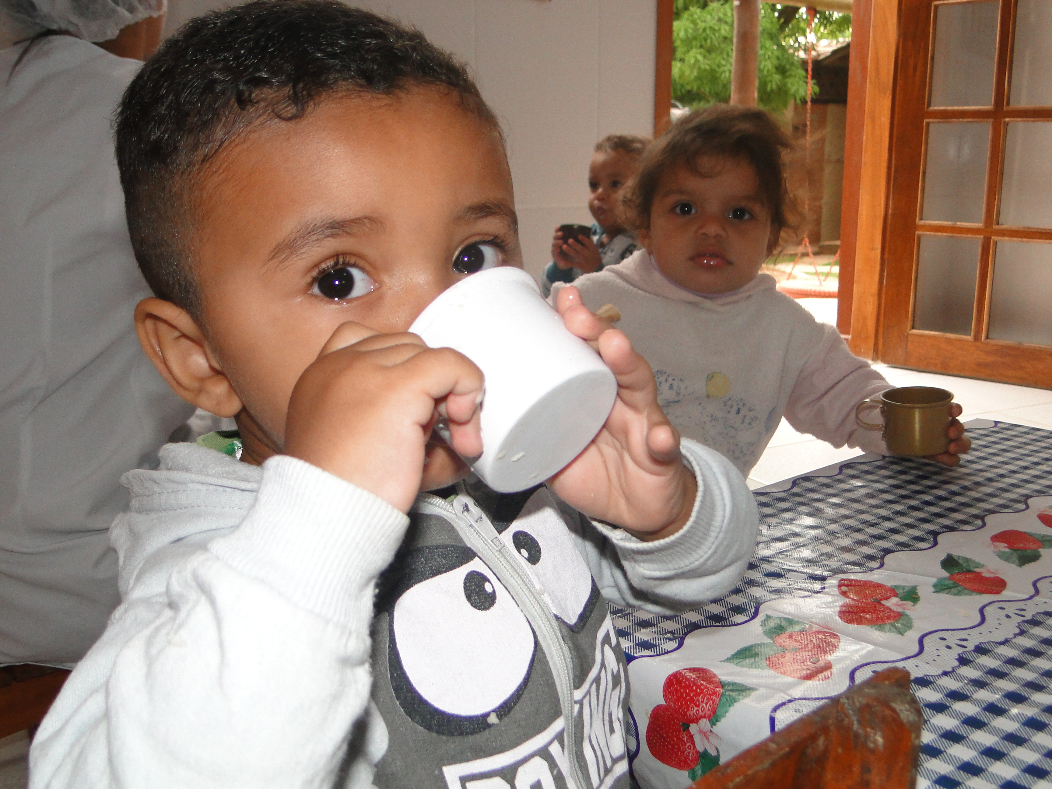 Amic Village introdução alimentar 2