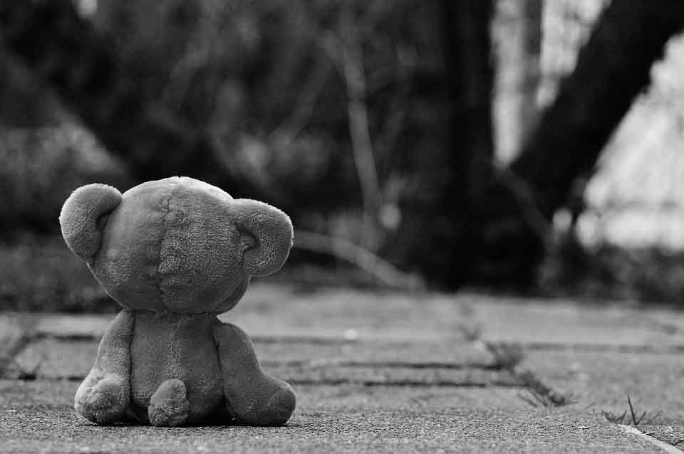 bear 1272799 960 720