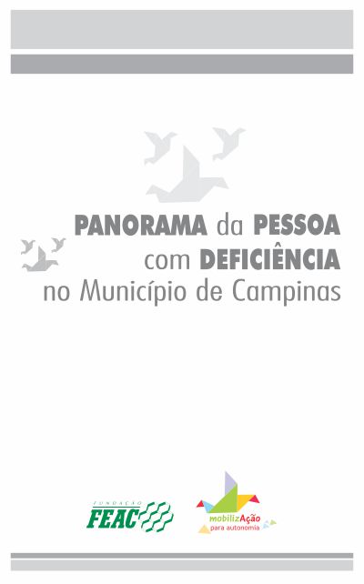 panorama da pessoa com deficiencia