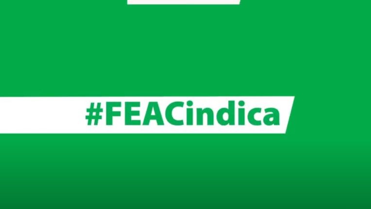 #FEACindica