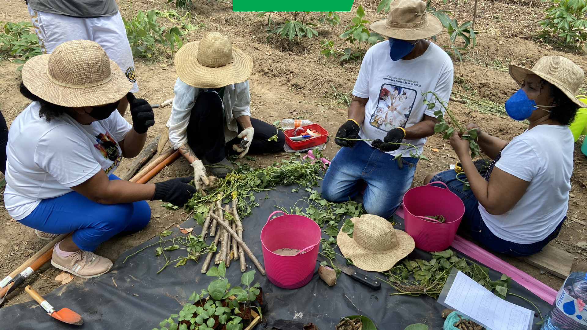 Agricultura Urbana Fundacao FEAC