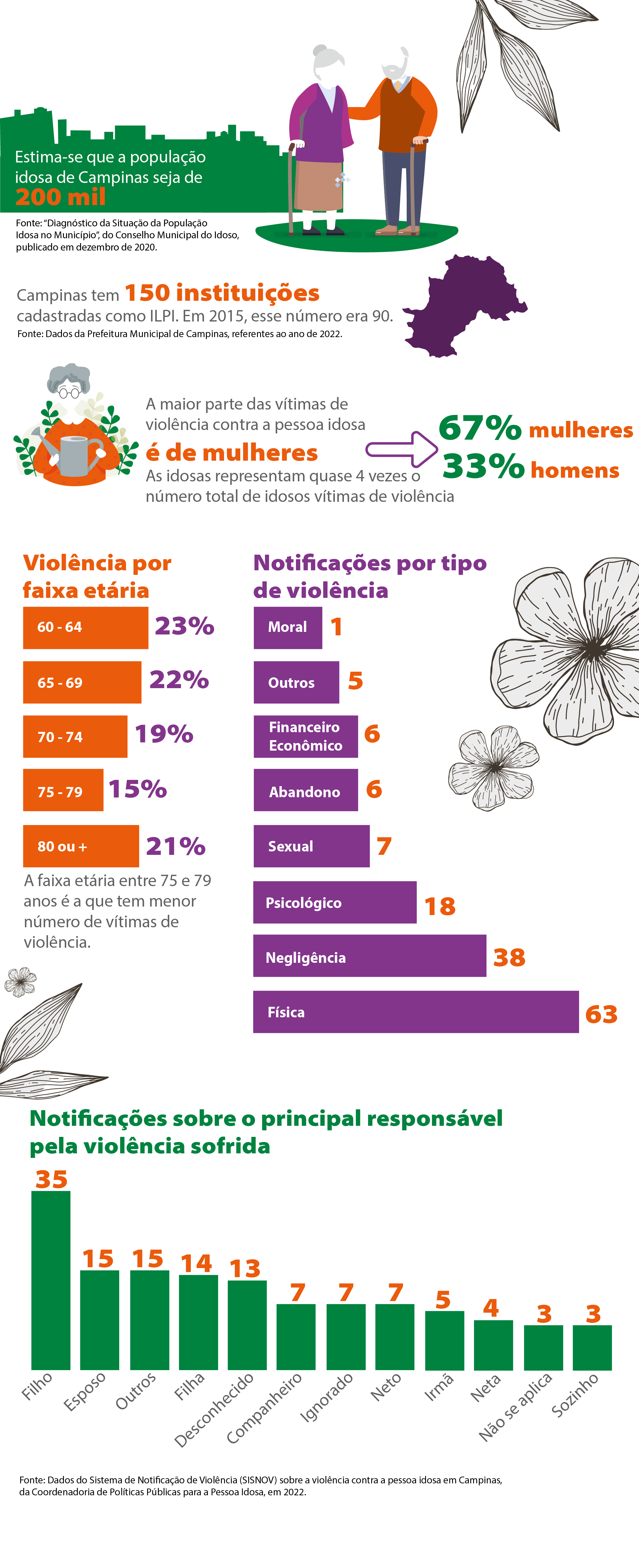Infográfico com dados de Campinas, referente às violências sofridas pelos idosos