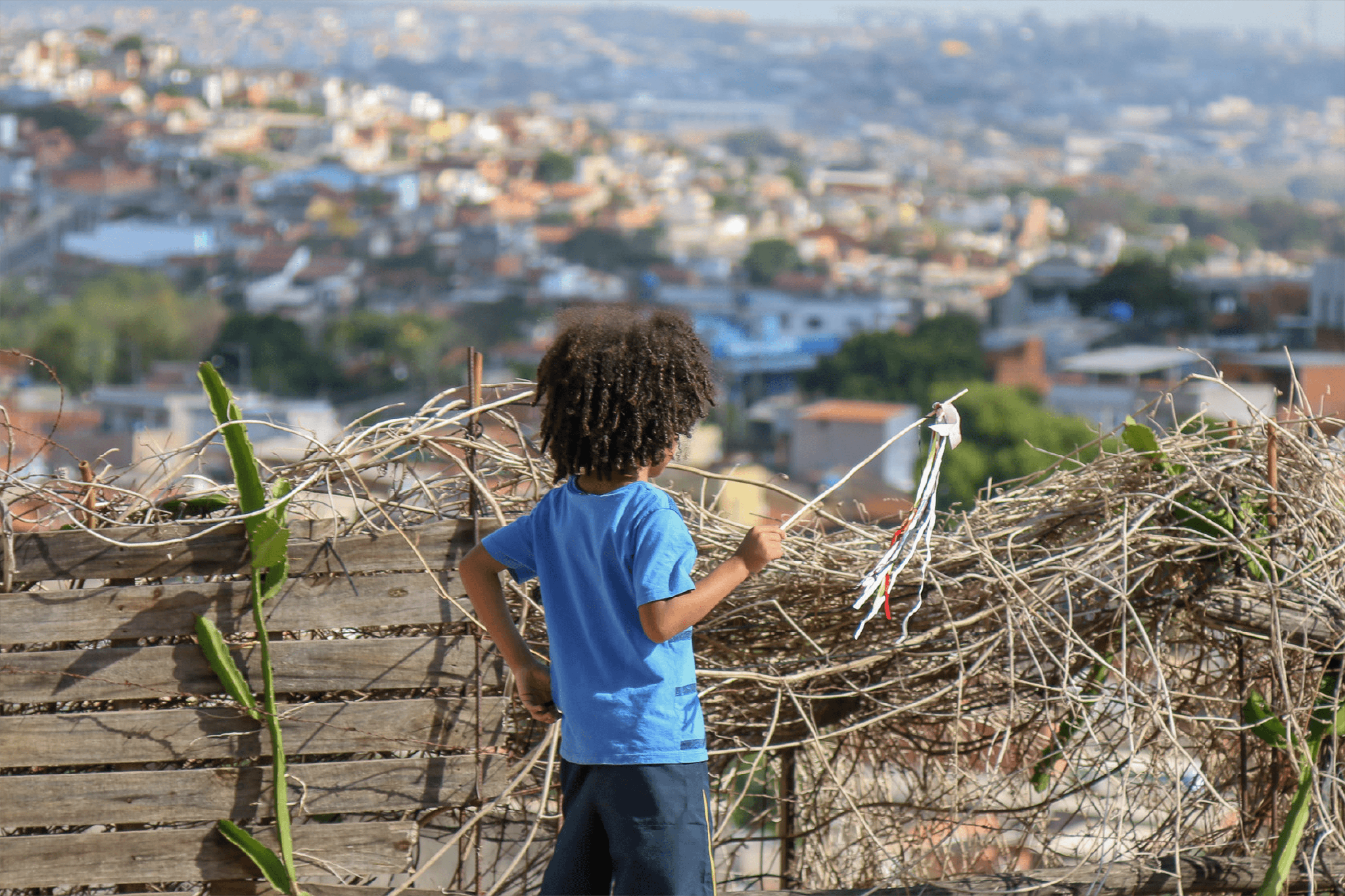 desenvolvimento territorial