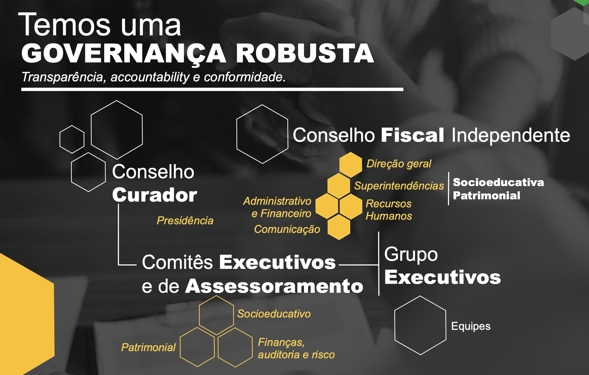 Governanca FEAC